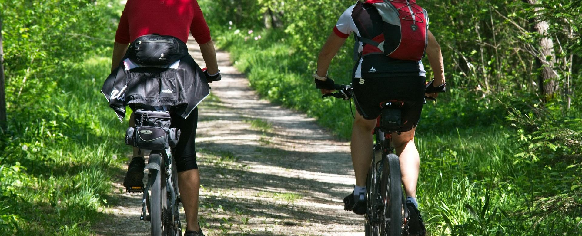 Fahrradausrüstungsgeschäft -Fahrradausrüstungsgeschäft to go biking 2520007 1920